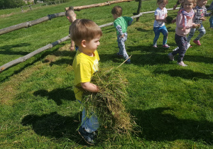 Chłopiec niesie skoszoną trawę.