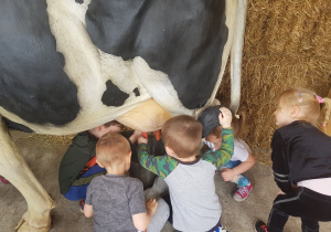 Czworo dzieci doi jednocześnie krowę.
