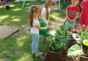 Dzieci podlewają zioła
