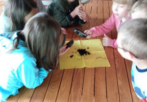 Grupa dzieci szuka mikroorganizmów zamieszkujących glebę.