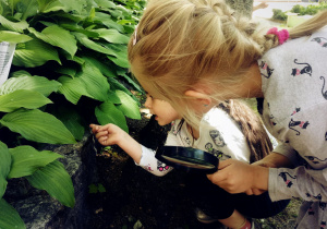 Dziewczynki badają rośliny.