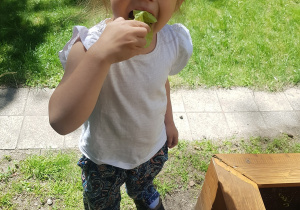 Dziewczynka je ze smakiem liście sałaty.