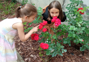 Dziewczynki zachwycają się kwiatami, przeliczają płatki