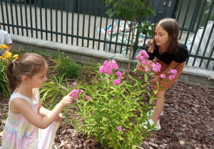Dziewczynki przeliczają płatki kwiaty i szukają na nich motyli.