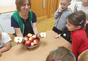 Dzieci oglądają budowę jabłka.