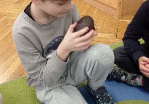 Chłopiec poznaje po przez dotyk avokado