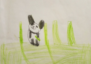 Panda na łące w wysokiej trawie.