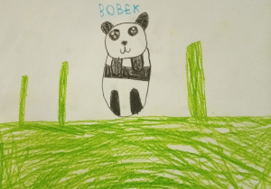 Panda na zielonej łące - rysunek Franka.