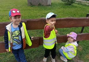 Troje dzieci przy zagrodzie. Chłopiec w środku pokazuje zerwaną roślinę.